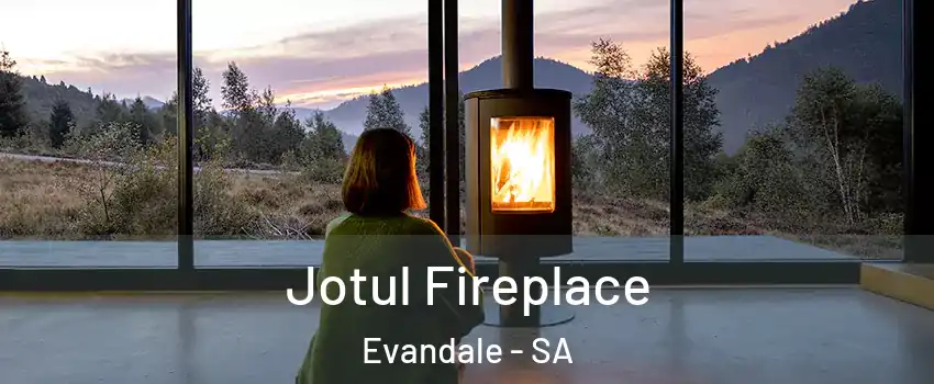  Jotul Fireplace Evandale - SA