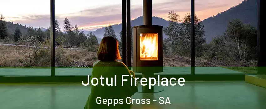 Jotul Fireplace Gepps Cross - SA