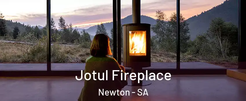 Jotul Fireplace Newton - SA