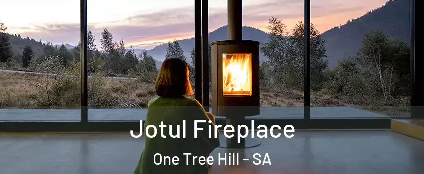 Jotul Fireplace One Tree Hill - SA
