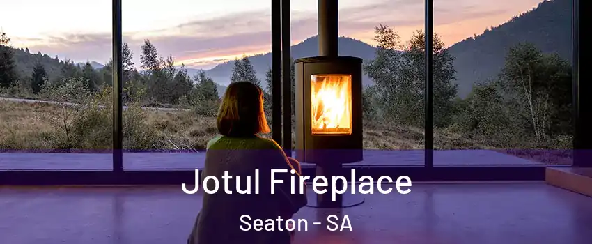 Jotul Fireplace Seaton - SA
