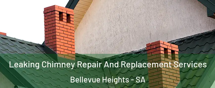  Leaking Chimney Repair And Replacement Services Bellevue Heights - SA