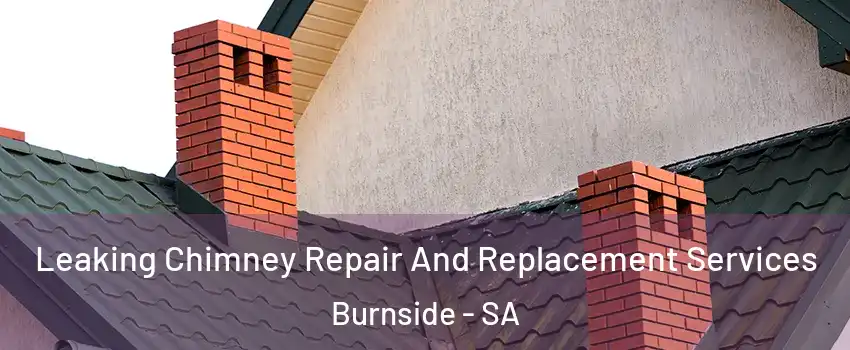  Leaking Chimney Repair And Replacement Services Burnside - SA