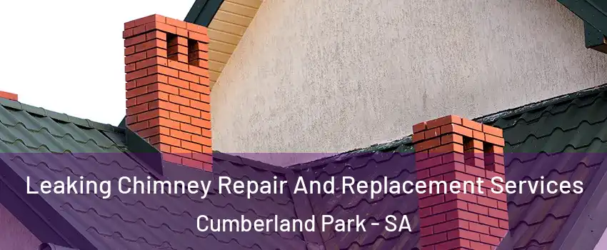  Leaking Chimney Repair And Replacement Services Cumberland Park - SA
