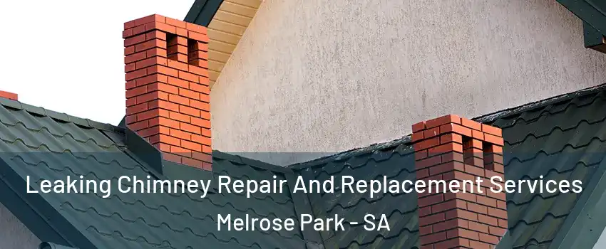 Leaking Chimney Repair And Replacement Services Melrose Park - SA