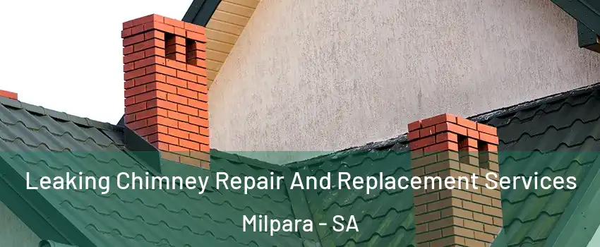 Leaking Chimney Repair And Replacement Services Milpara - SA