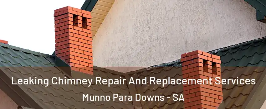 Leaking Chimney Repair And Replacement Services Munno Para Downs - SA