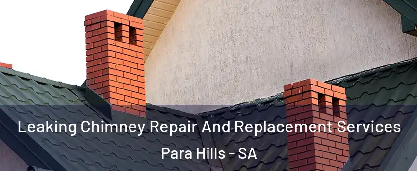 Leaking Chimney Repair And Replacement Services Para Hills - SA