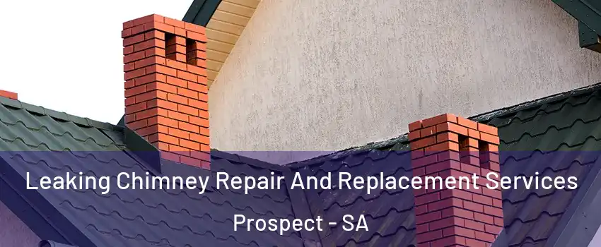 Leaking Chimney Repair And Replacement Services Prospect - SA