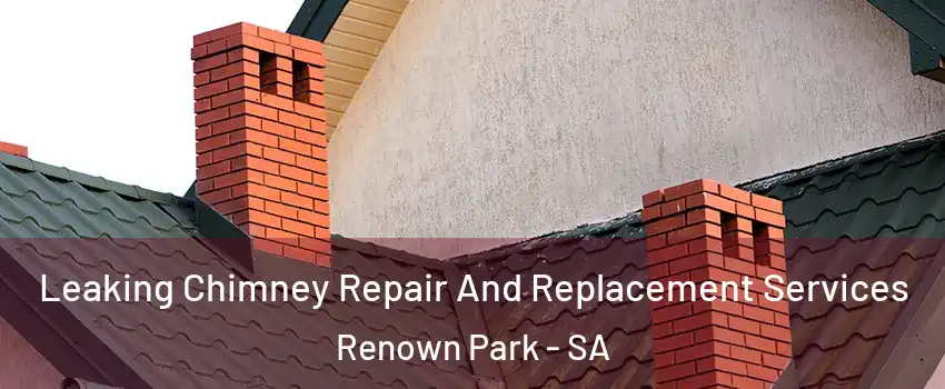Leaking Chimney Repair And Replacement Services Renown Park - SA