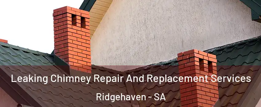 Leaking Chimney Repair And Replacement Services Ridgehaven - SA