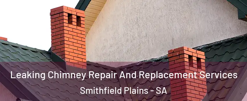 Leaking Chimney Repair And Replacement Services Smithfield Plains - SA