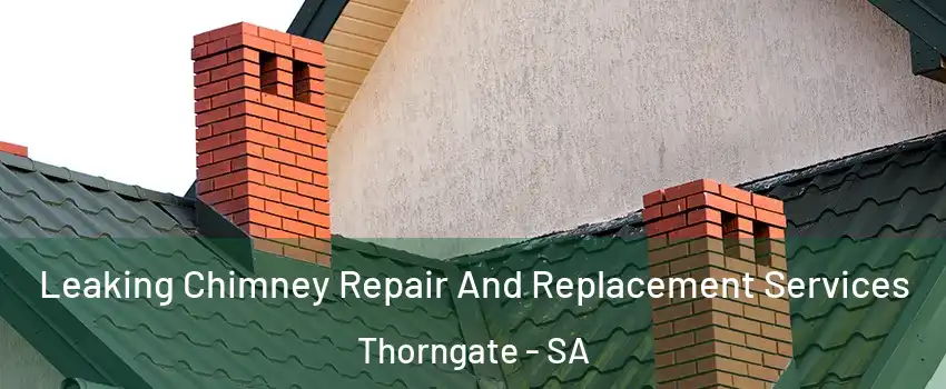  Leaking Chimney Repair And Replacement Services Thorngate - SA