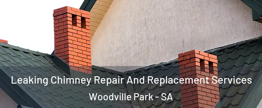 Leaking Chimney Repair And Replacement Services Woodville Park - SA