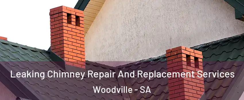 Leaking Chimney Repair And Replacement Services Woodville - SA