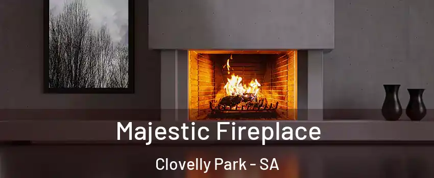  Majestic Fireplace Clovelly Park - SA