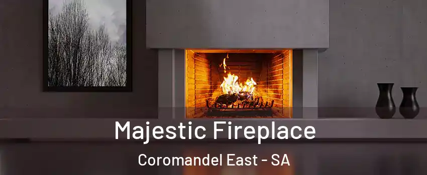 Majestic Fireplace Coromandel East - SA
