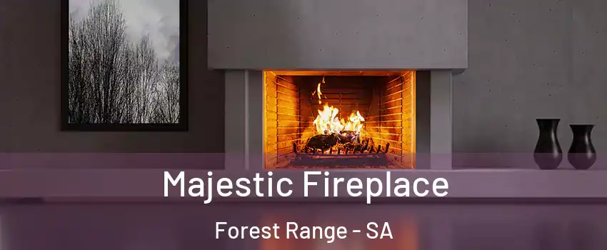  Majestic Fireplace Forest Range - SA
