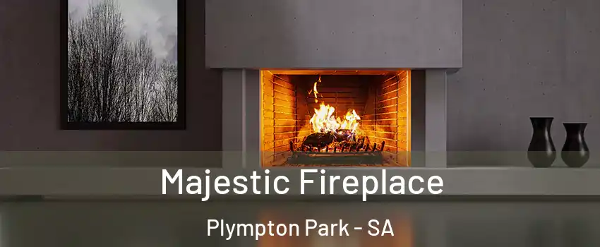 Majestic Fireplace Plympton Park - SA
