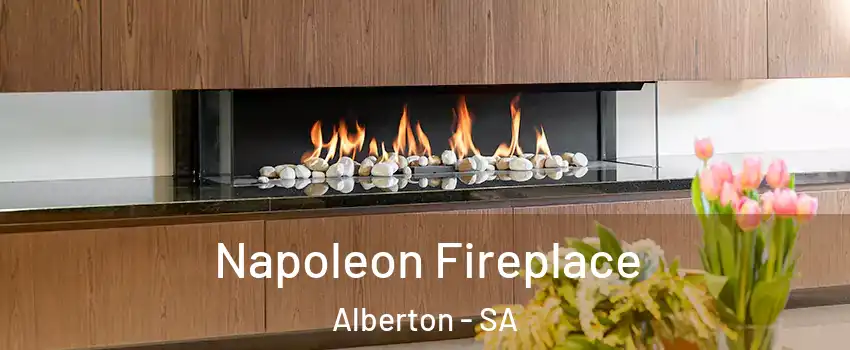  Napoleon Fireplace Alberton - SA