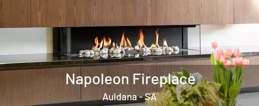  Napoleon Fireplace Auldana - SA
