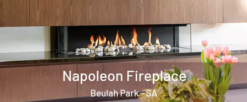  Napoleon Fireplace Beulah Park - SA