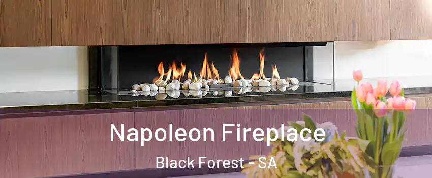 Napoleon Fireplace Black Forest - SA