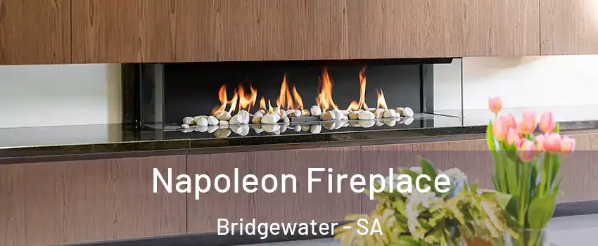 Napoleon Fireplace Bridgewater - SA
