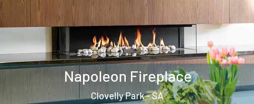  Napoleon Fireplace Clovelly Park - SA