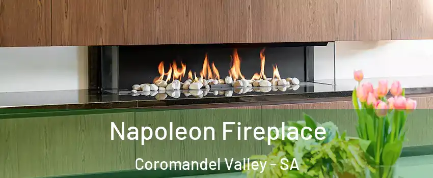 Napoleon Fireplace Coromandel Valley - SA