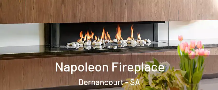 Napoleon Fireplace Dernancourt - SA