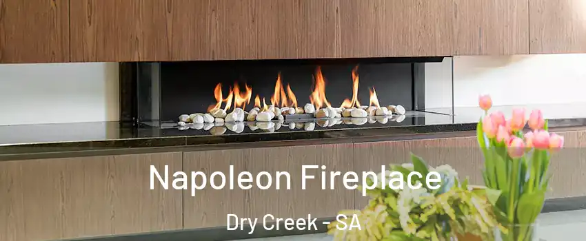 Napoleon Fireplace Dry Creek - SA