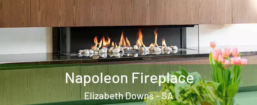  Napoleon Fireplace Elizabeth Downs - SA