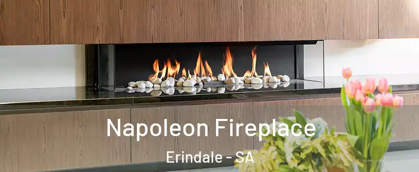  Napoleon Fireplace Erindale - SA