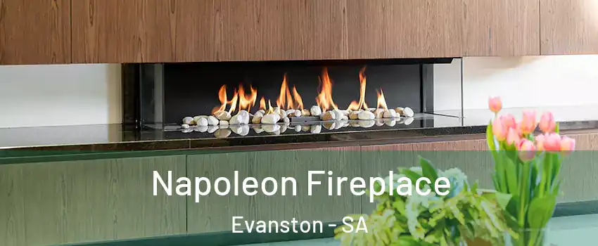 Napoleon Fireplace Evanston - SA