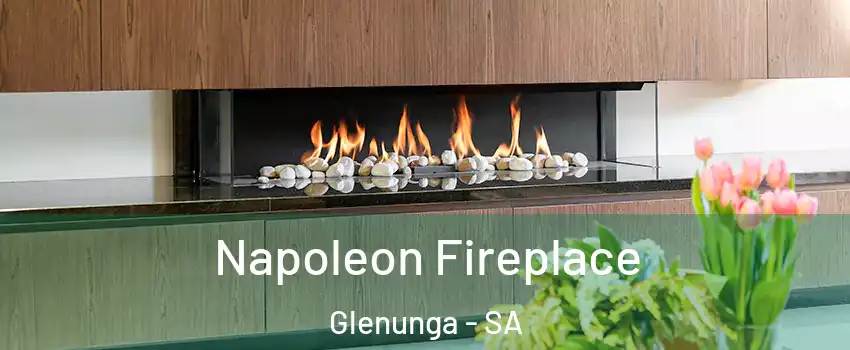 Napoleon Fireplace Glenunga - SA