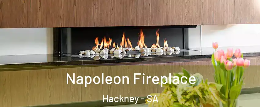  Napoleon Fireplace Hackney - SA