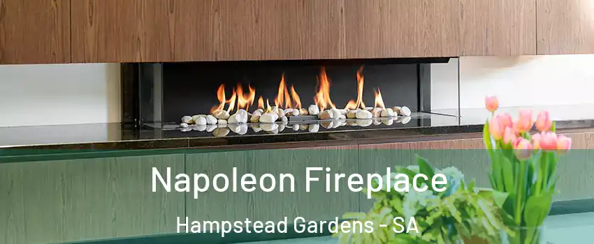 Napoleon Fireplace Hampstead Gardens - SA