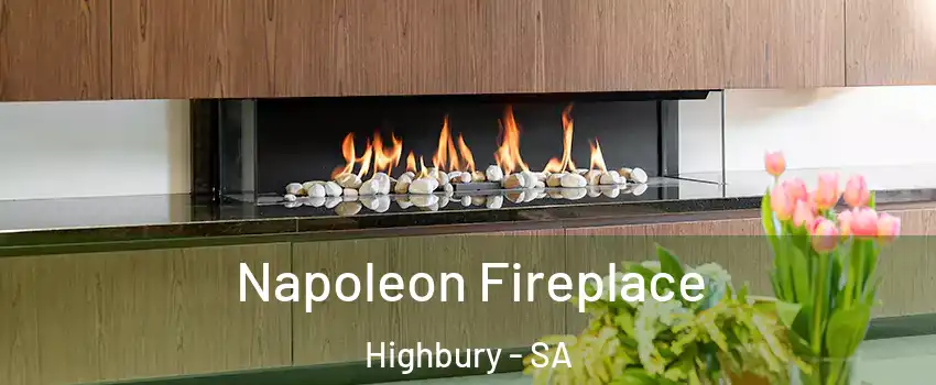 Napoleon Fireplace Highbury - SA