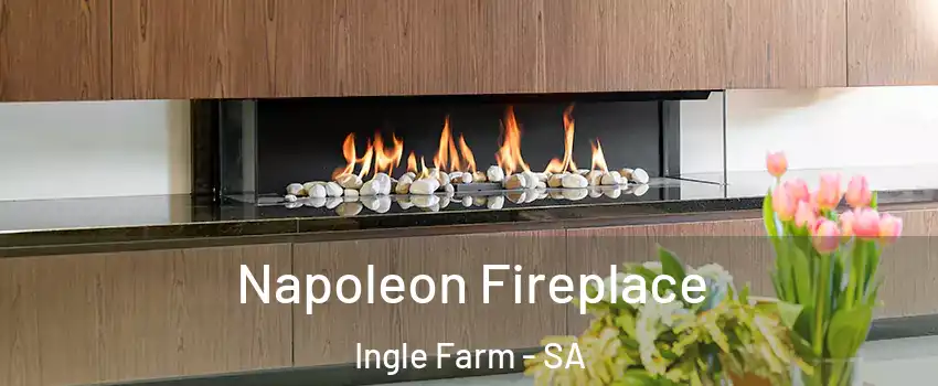 Napoleon Fireplace Ingle Farm - SA