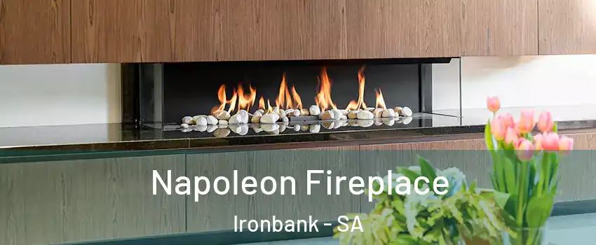 Napoleon Fireplace Ironbank - SA