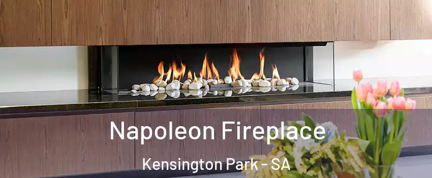 Napoleon Fireplace Kensington Park - SA