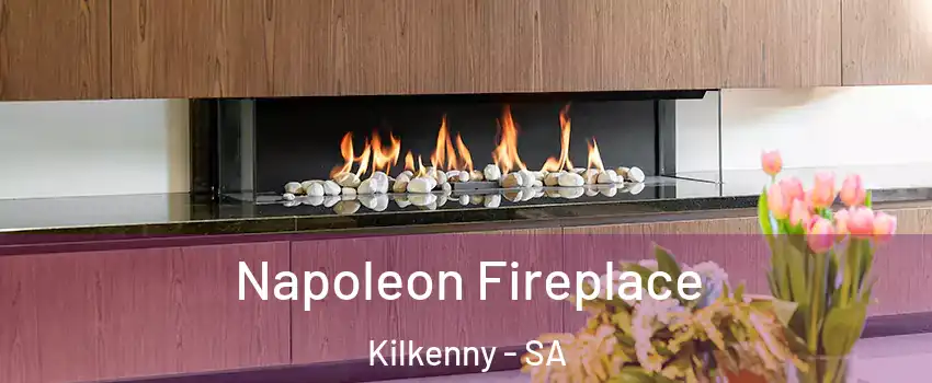 Napoleon Fireplace Kilkenny - SA