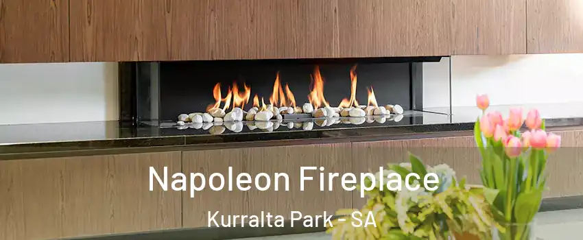 Napoleon Fireplace Kurralta Park - SA