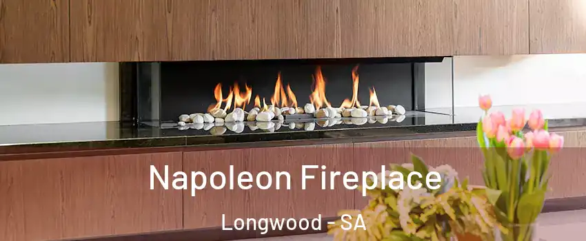Napoleon Fireplace Longwood - SA