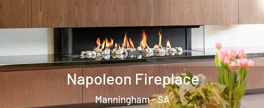 Napoleon Fireplace Manningham - SA