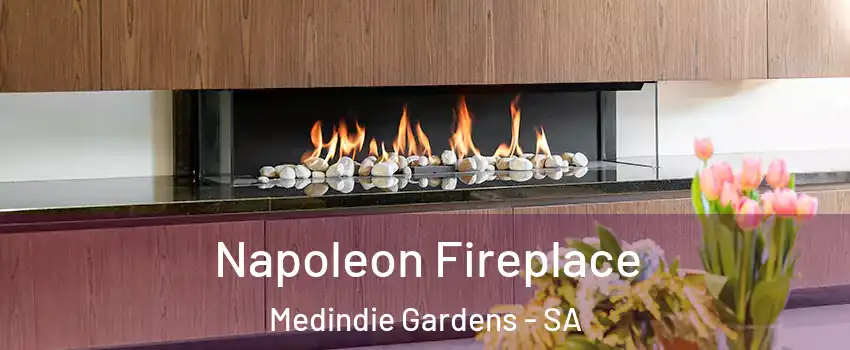 Napoleon Fireplace Medindie Gardens - SA