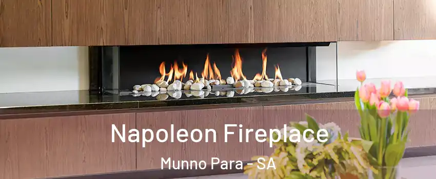 Napoleon Fireplace Munno Para - SA