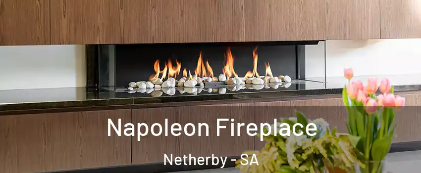 Napoleon Fireplace Netherby - SA