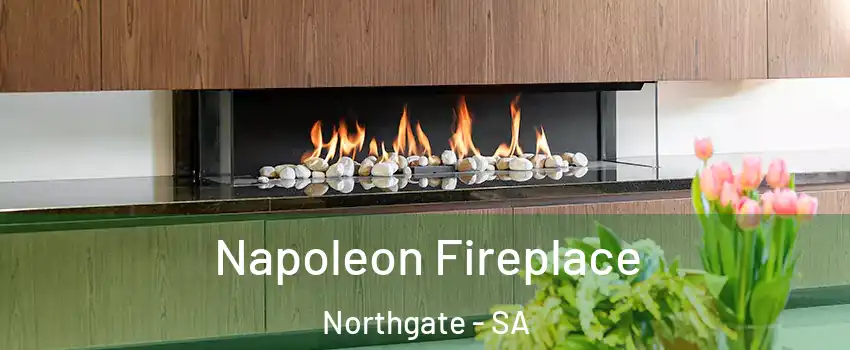 Napoleon Fireplace Northgate - SA